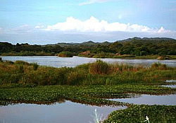 Thawale Camp Marsh